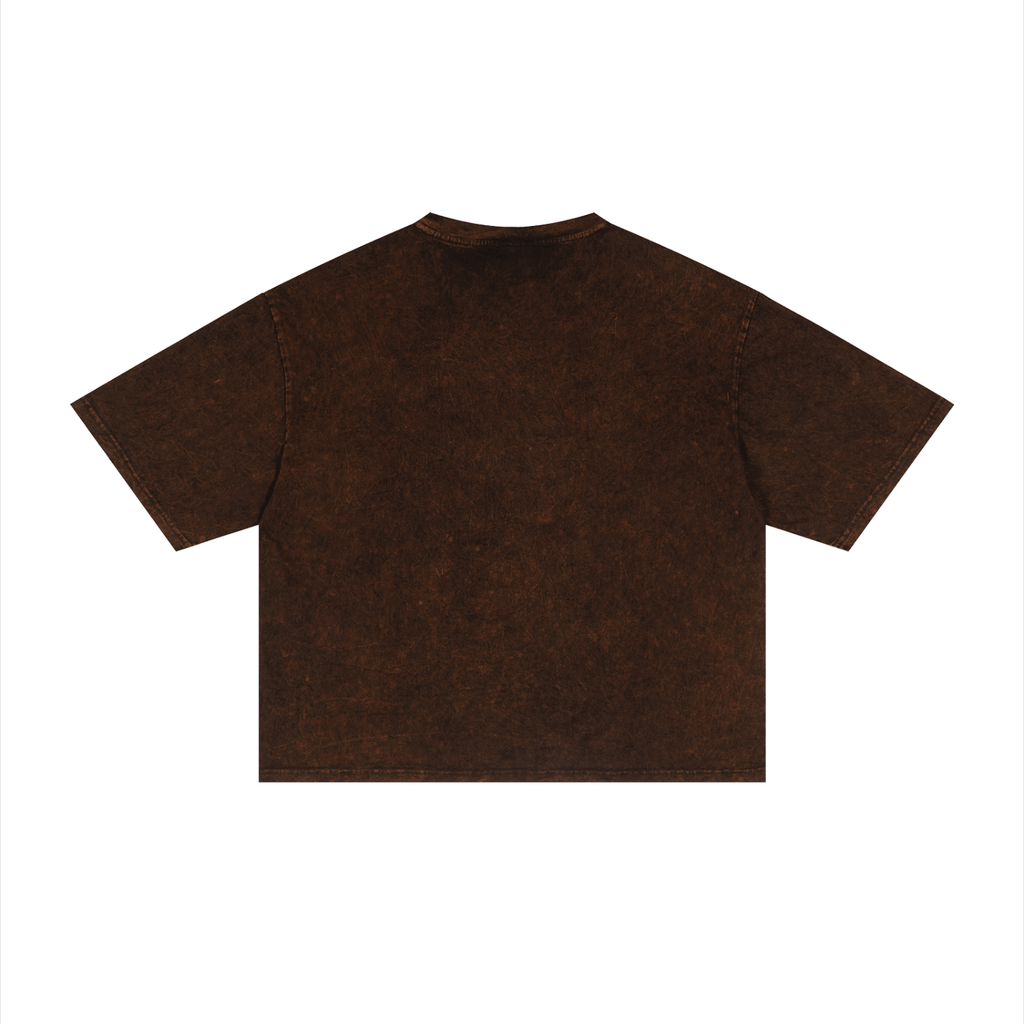 Merch in Town Mineral Wash Boxy T-Shirt in Brown on a white background, back view.