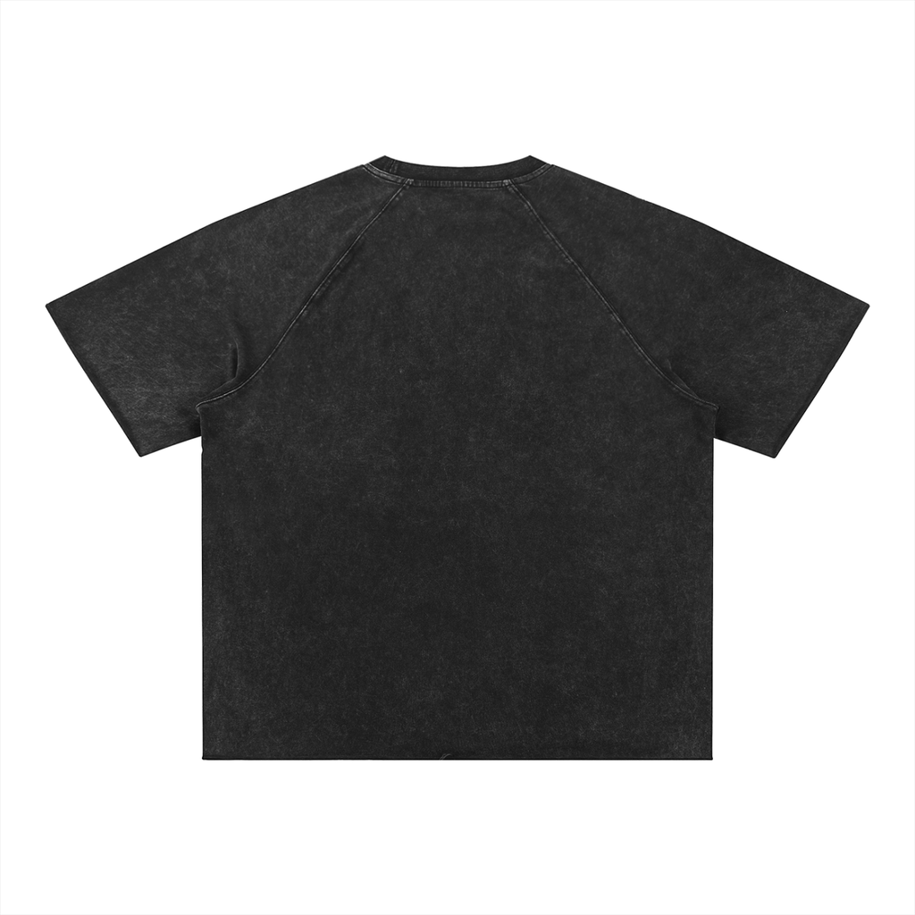 Salon Daomé black mineral wash raw edge t-shirt on a white background, back view.