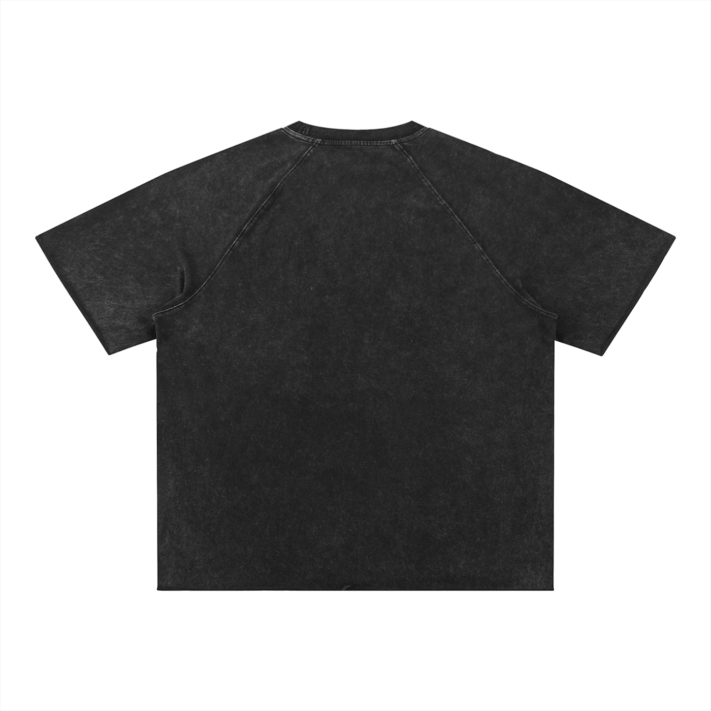 Salon Daomé black mineral wash raw edge t-shirt on a white background, back view.