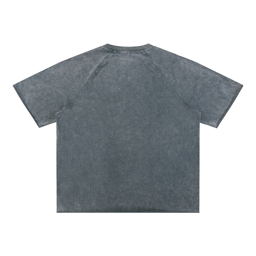 Salon Daomé blue-gray mineral wash raw edge t-shirt on a white background, back view.