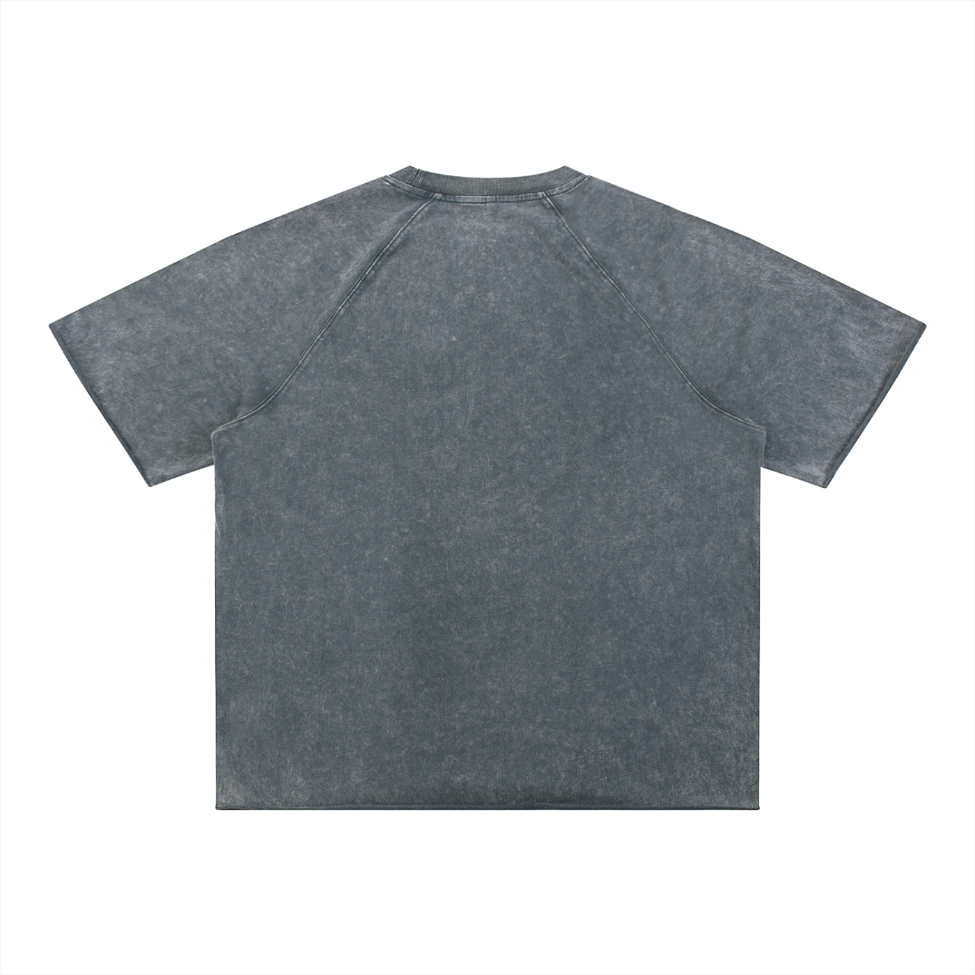 Salon Daomé blue-gray mineral wash raw edge t-shirt on a white background, back view.